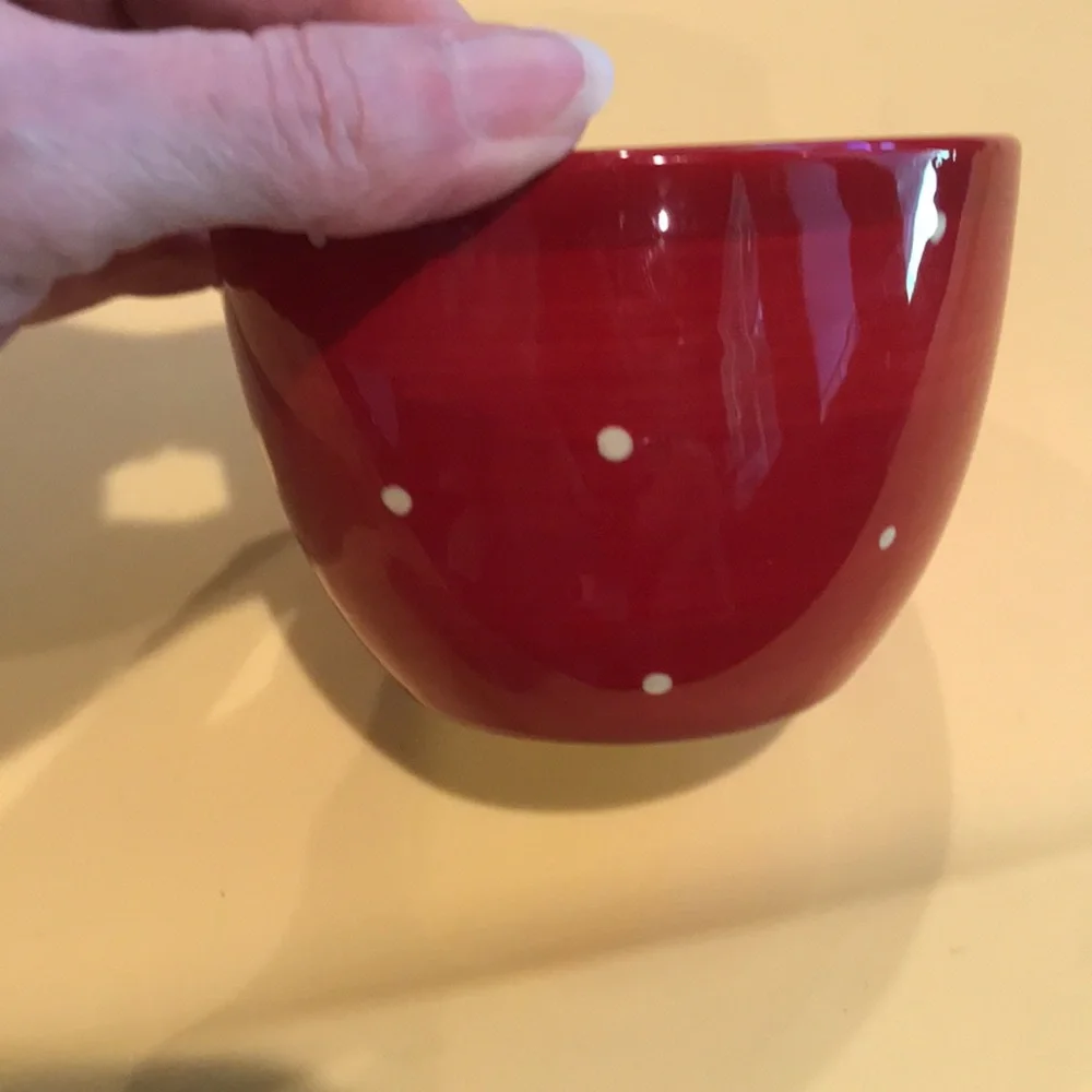 Pier 1 Bowls Hand Painted Earthenware Owl Bowl & Red Bowl